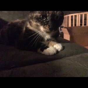 Meet your Posher, Yael